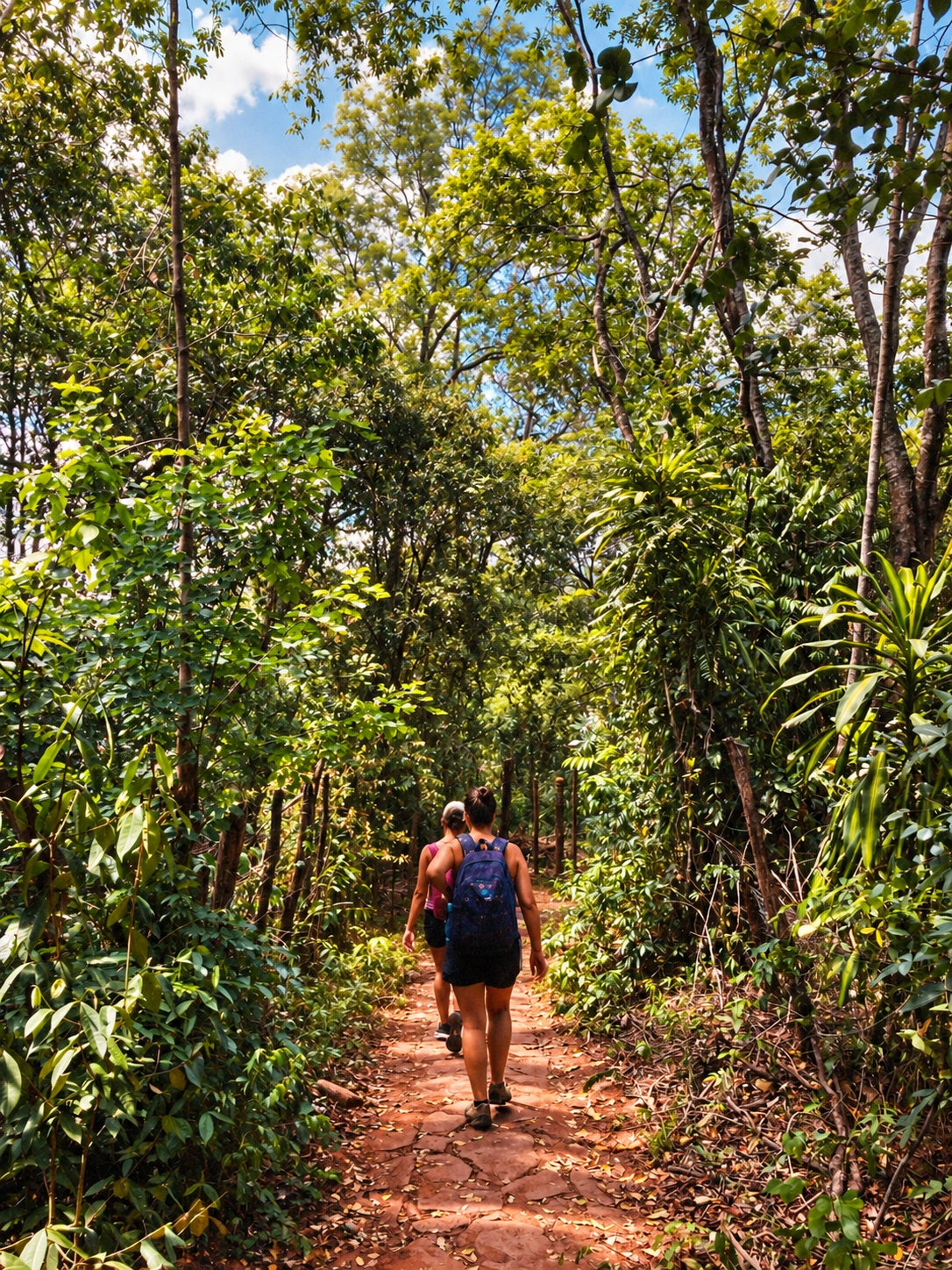 Fotografía editorial de caminantes en un sendero; referencia ajena al predio